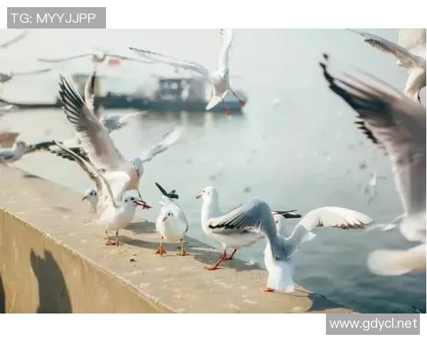 就指望你了&支楞起来啊！福克斯上半场7中1得4分1板3助1断