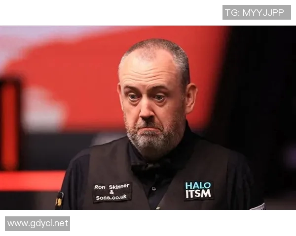 马克-威廉姆斯高效20分钟：小出手贡献多元数据